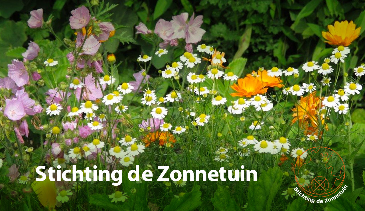 mailheader